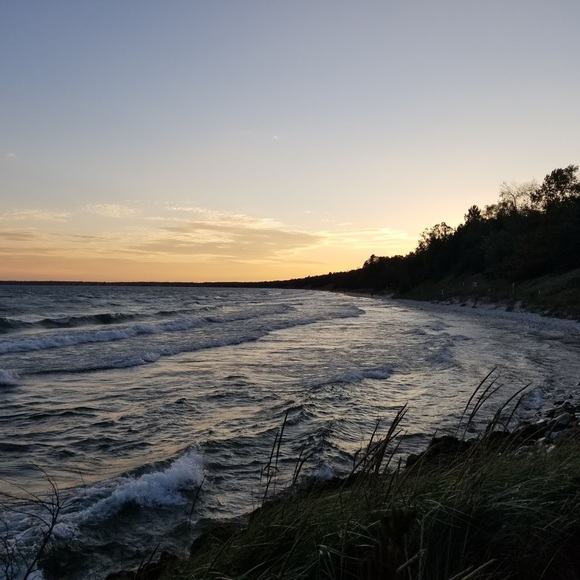 Meet your Posher, Kenzie - Picture 1 of 1